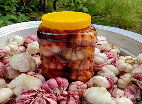 تصویر 4 از خرید و قیمت سیر ترشی با سرکه سیب + فروش عمده